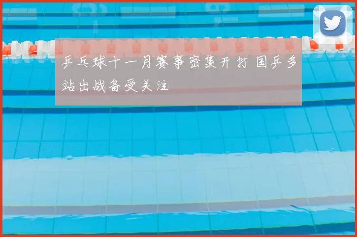 乒乓球十一月赛事密集开打 国乒多站出战备受关注