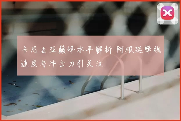 卡尼吉亚巅峰水平解析 阿根廷锋线速度与冲击力引关注