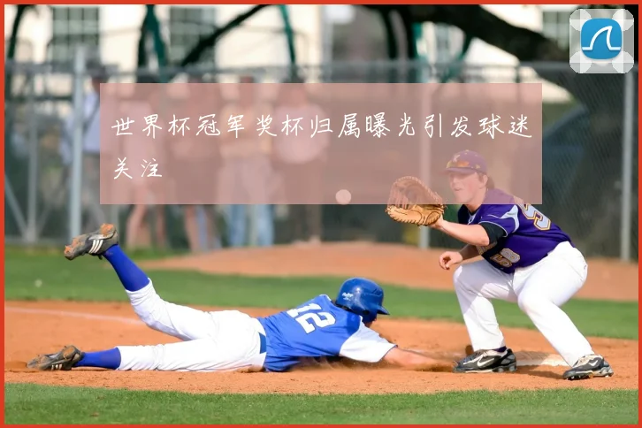 世界杯冠军奖杯归属曝光引发球迷关注