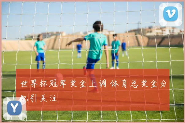 世界杯冠军奖金上调 体育总奖金分配引关注